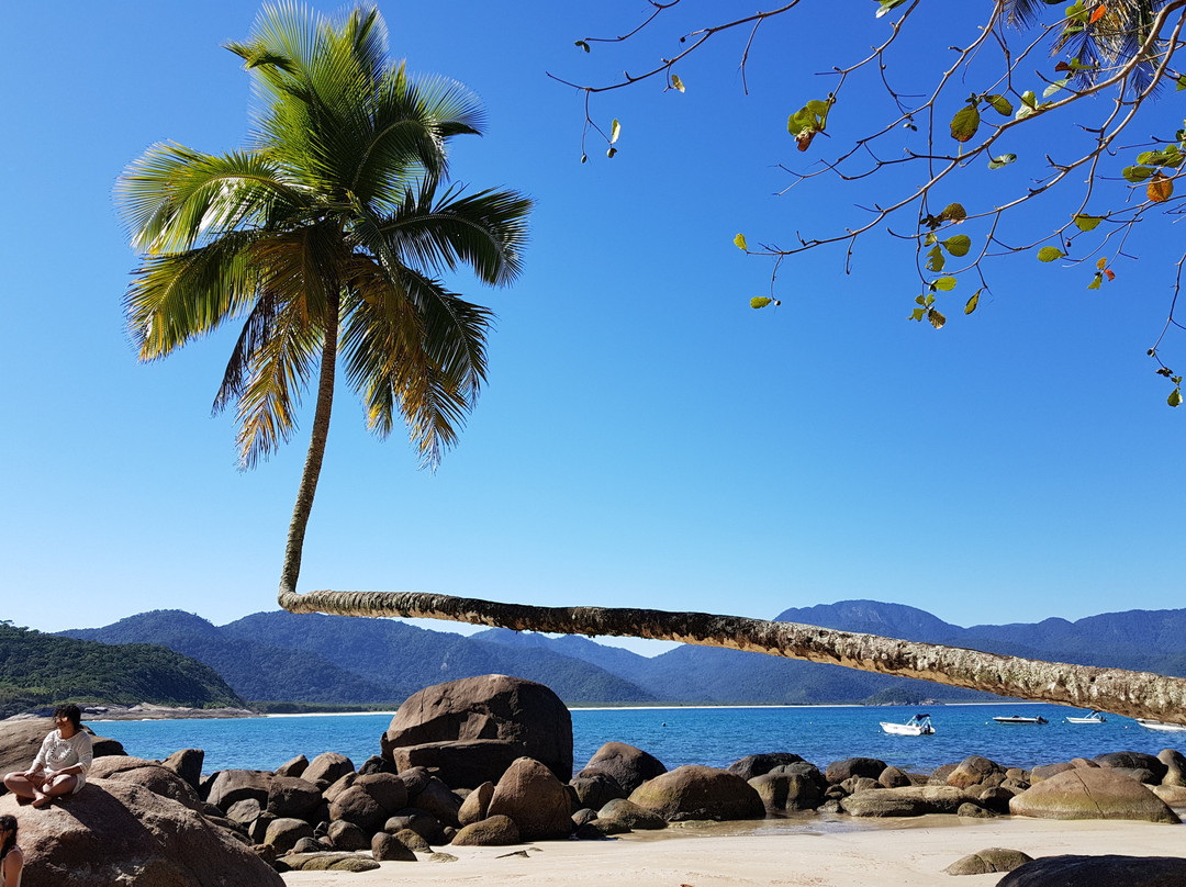 Aventureiro Beach景点图片