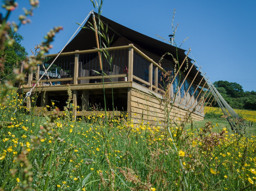 Black Pig Retreats Glamping