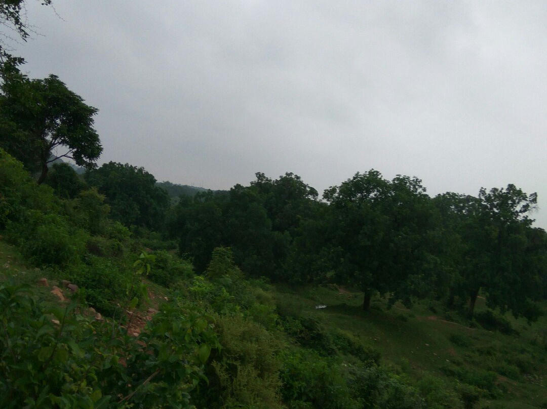 Wyndom Falls景点图片