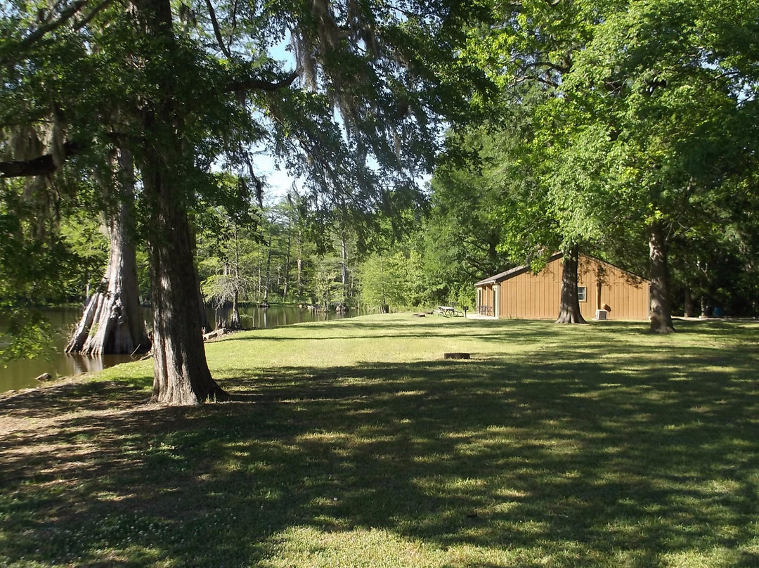 Leroy Percy State Park景点图片