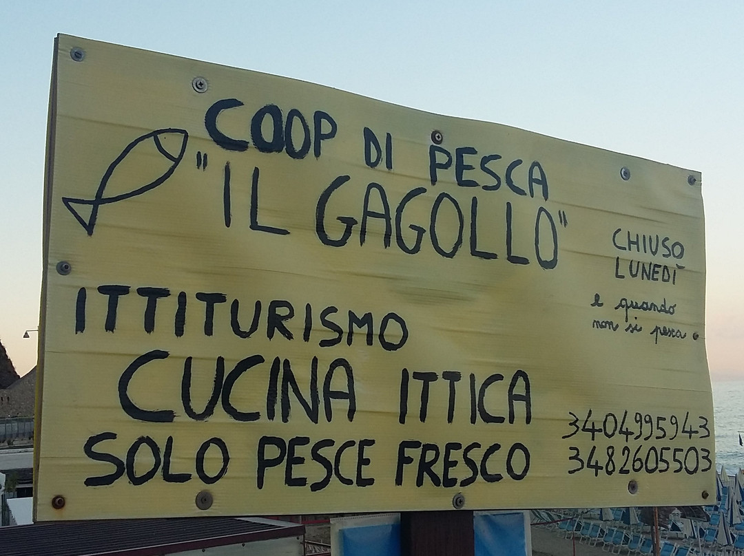 Il Gagollo