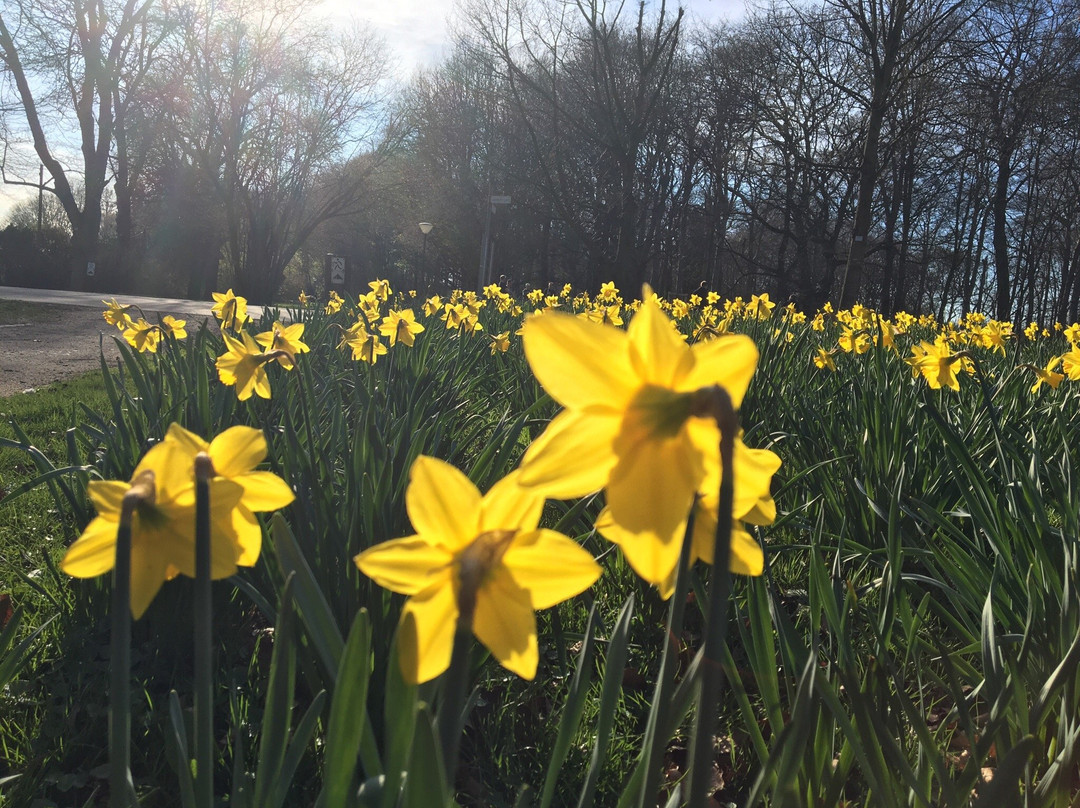 Fredenbaumpark-多特蒙德必去景点