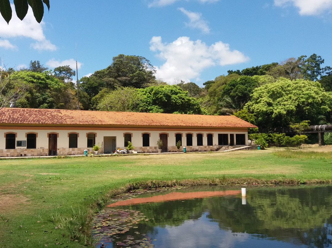 Jardim Botânico - Benjamin Maranhão景点图片
