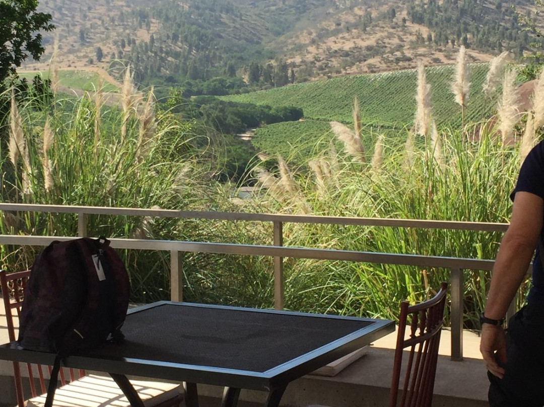 Colchagua Wine Lovers-圣克鲁斯必去景点