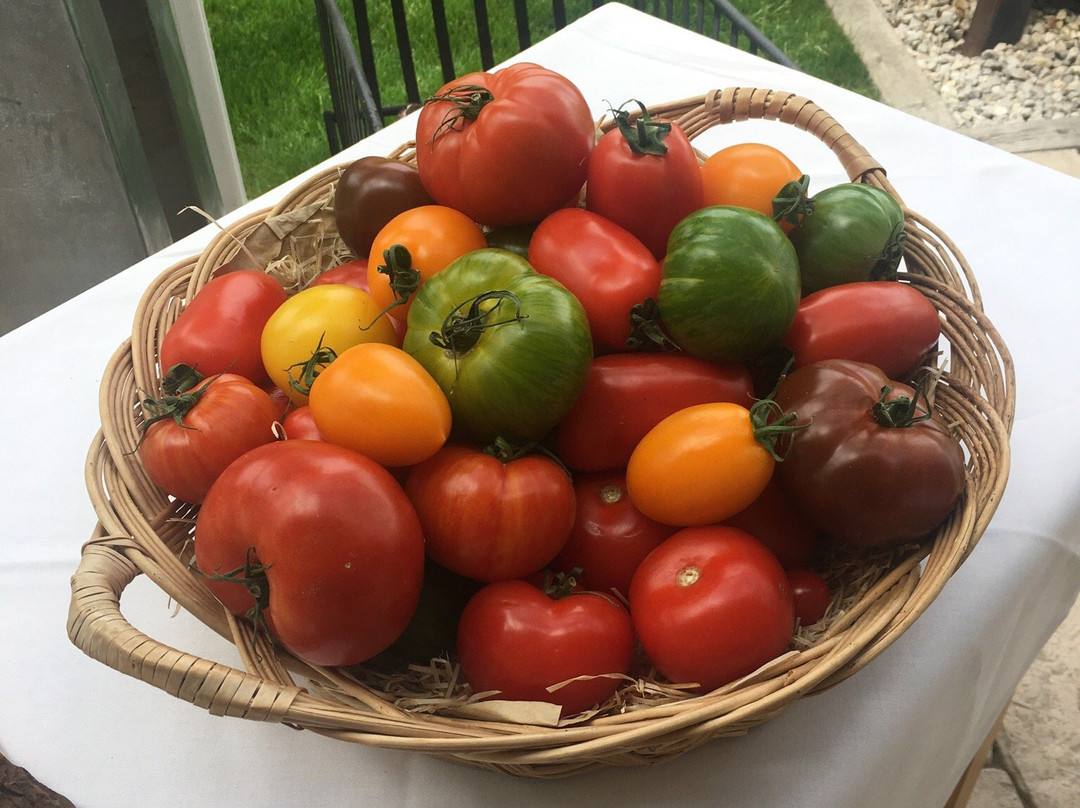 Moosburg餐馆和美食-Fischerhaus