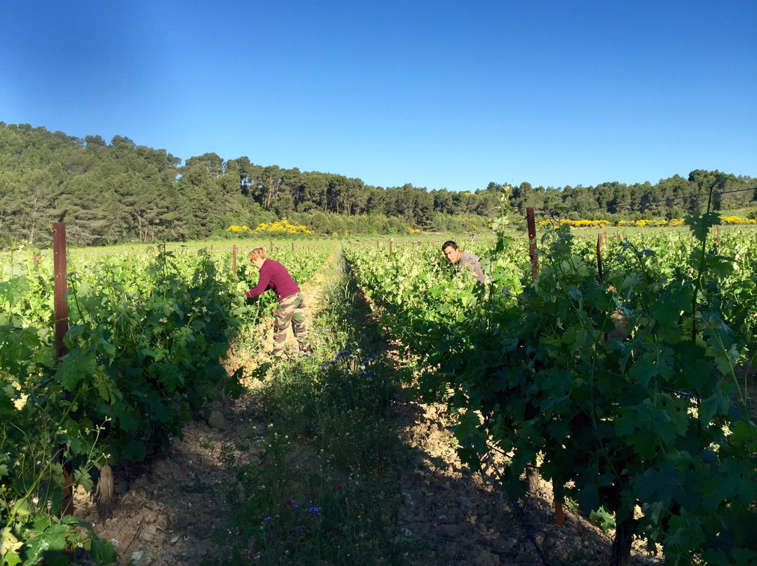 Domaine du Somail-Saint-Nazaire-d'Aude必去景点