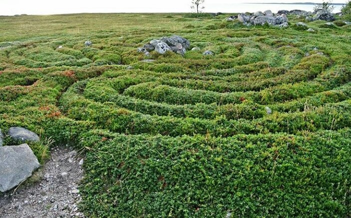 Labyrinths of Big Zayatskiy Island景点图片