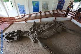 Janto Eco-turismo Equino Cabalgatas y Caminatas-莱瓦镇必去景点