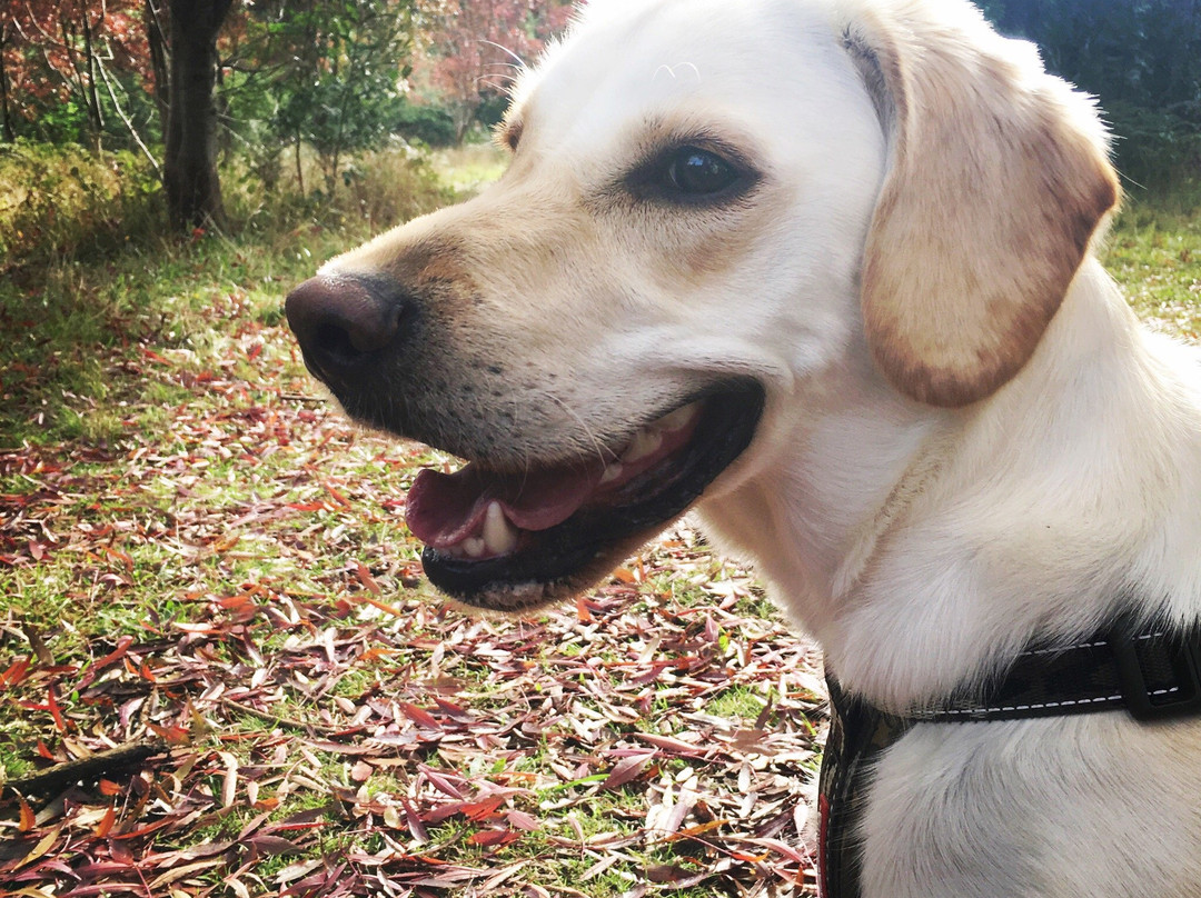 R.J. Hamer Arboretum-奥林达必去景点