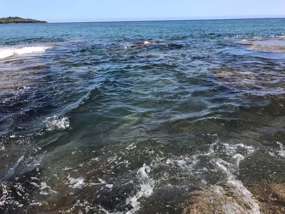 Death Pool-阿拉米诺市必去景点