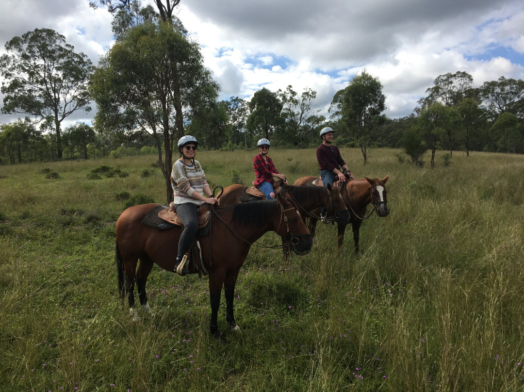 Cowboy Up Trail Riding-Emu Creek必去景点