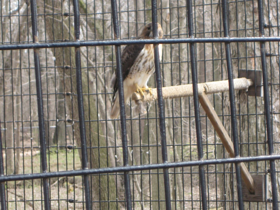 River Trail Nature Center-诺斯布鲁克必去景点