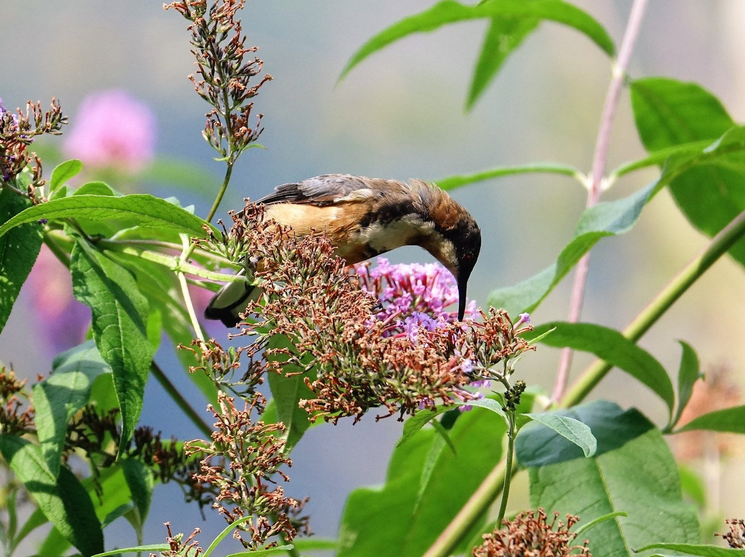 Belgrave Lake Park-贝尔格雷夫必去景点