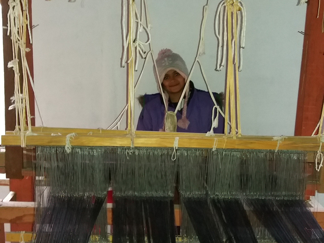 Kausani Shawl Factory景点图片