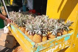Hastings Farmers Market-Hastings必去景点