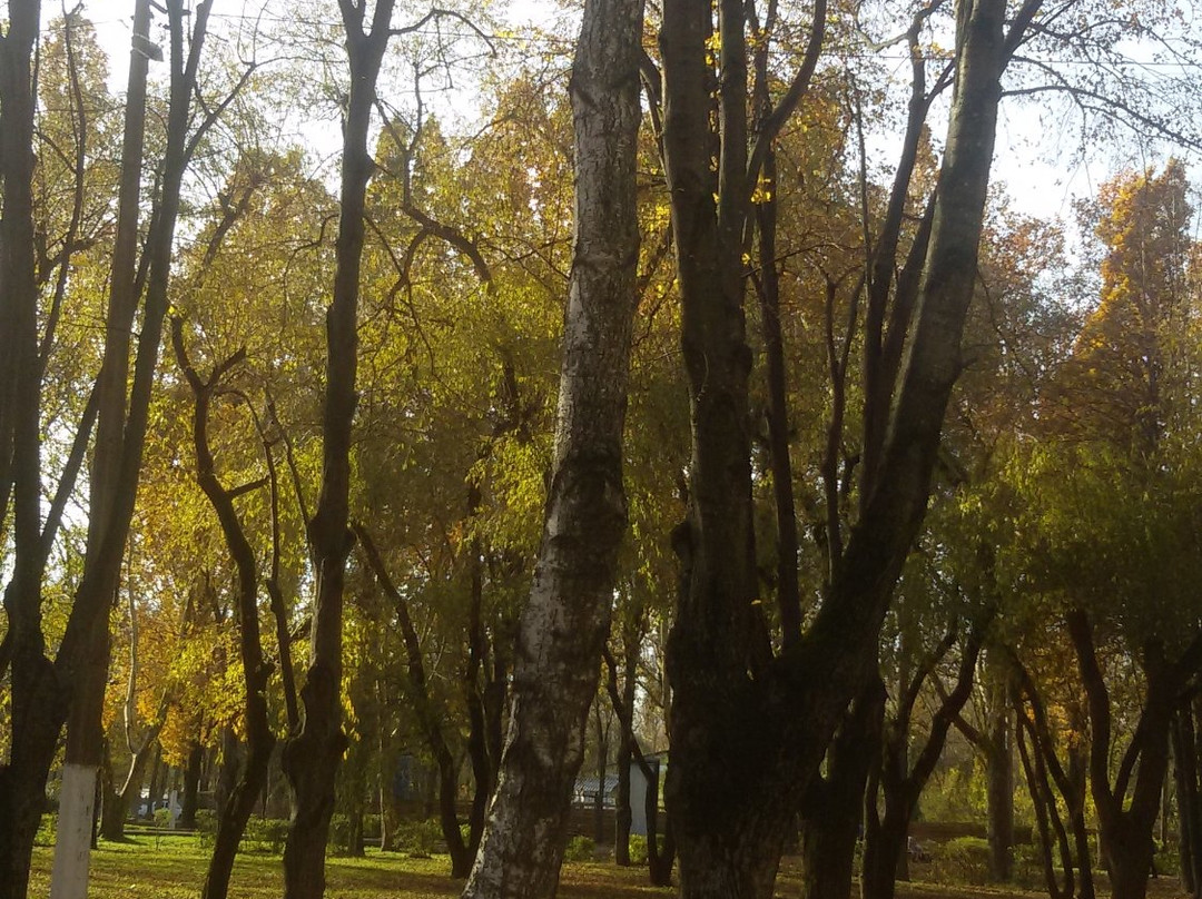 Old Kuban City Beach景点图片