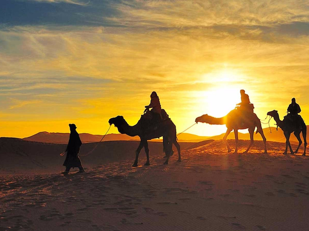 Morocco Live It Tours-非斯必去景点