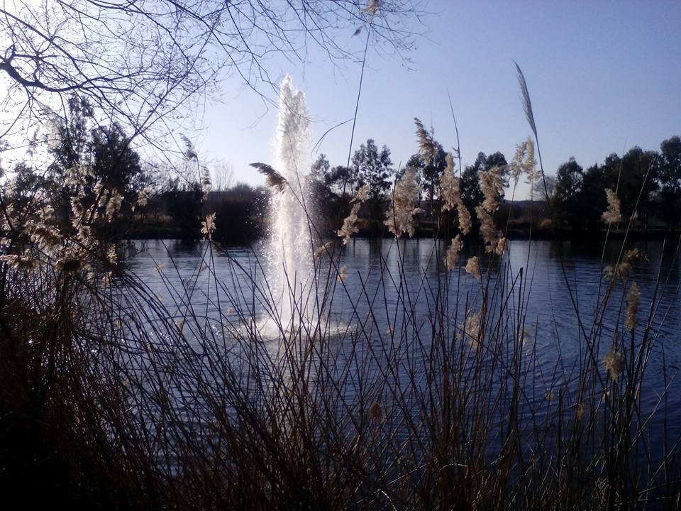 Parque Tierno Galvan景点图片
