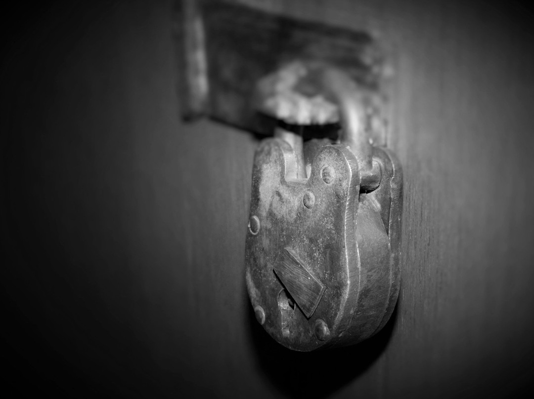 Puzzles-Buffalo必去景点