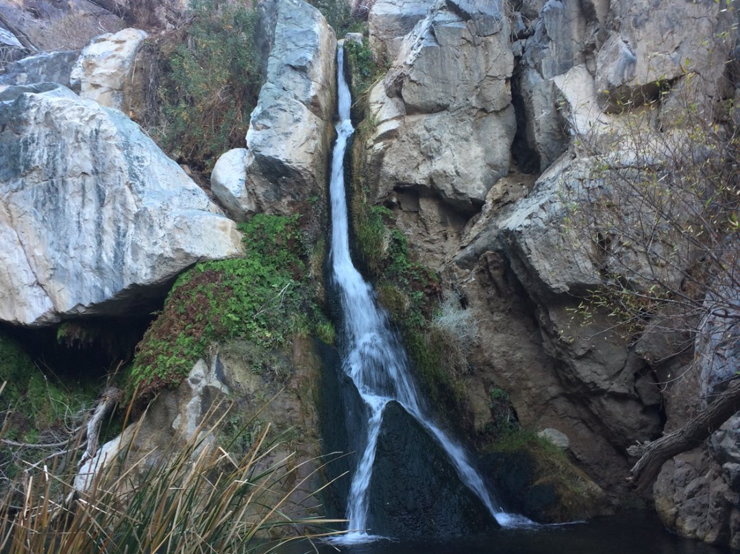 Darwin Falls-死亡谷国家公园必去景点