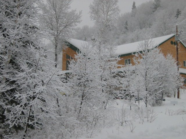 Auberge Carcajou主图