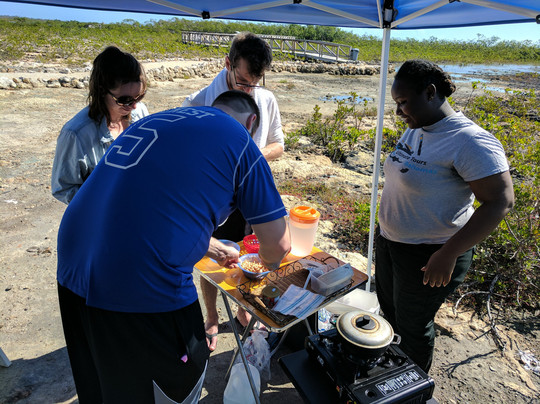 Ultimate Tours Bahamas-拿骚必去景点