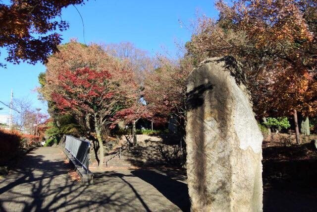 Momijiyama Park-中野区必去景点