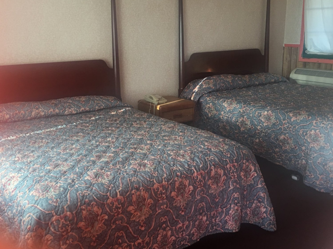 Chestertown酒店住宿-Driftwood Inn