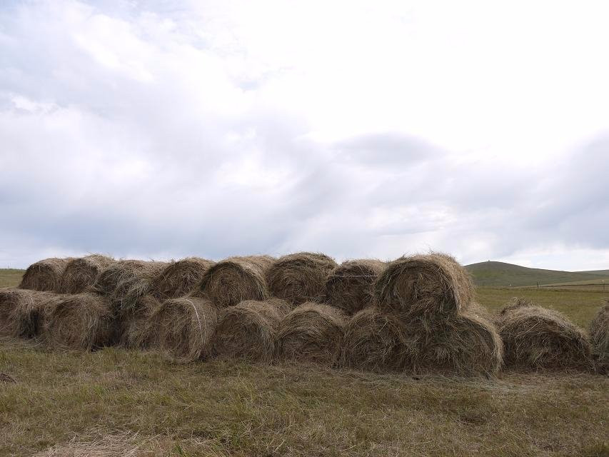 金帐汗蒙古部落-陈巴尔虎旗必去景点