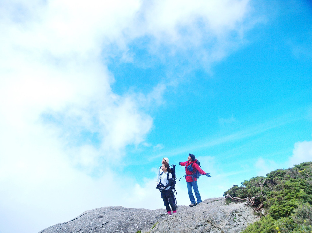 Yakushima Nature Activity Center (YNAC)景点图片