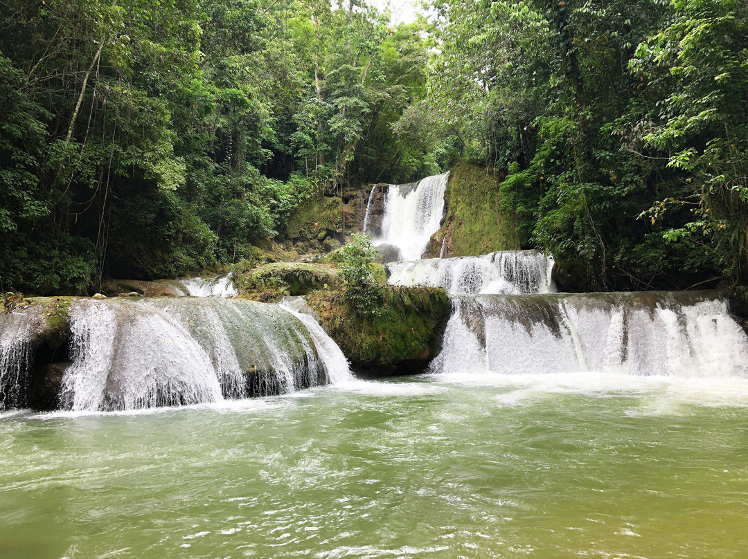 MycoMeditations Psilocybin-Assisted Retreats