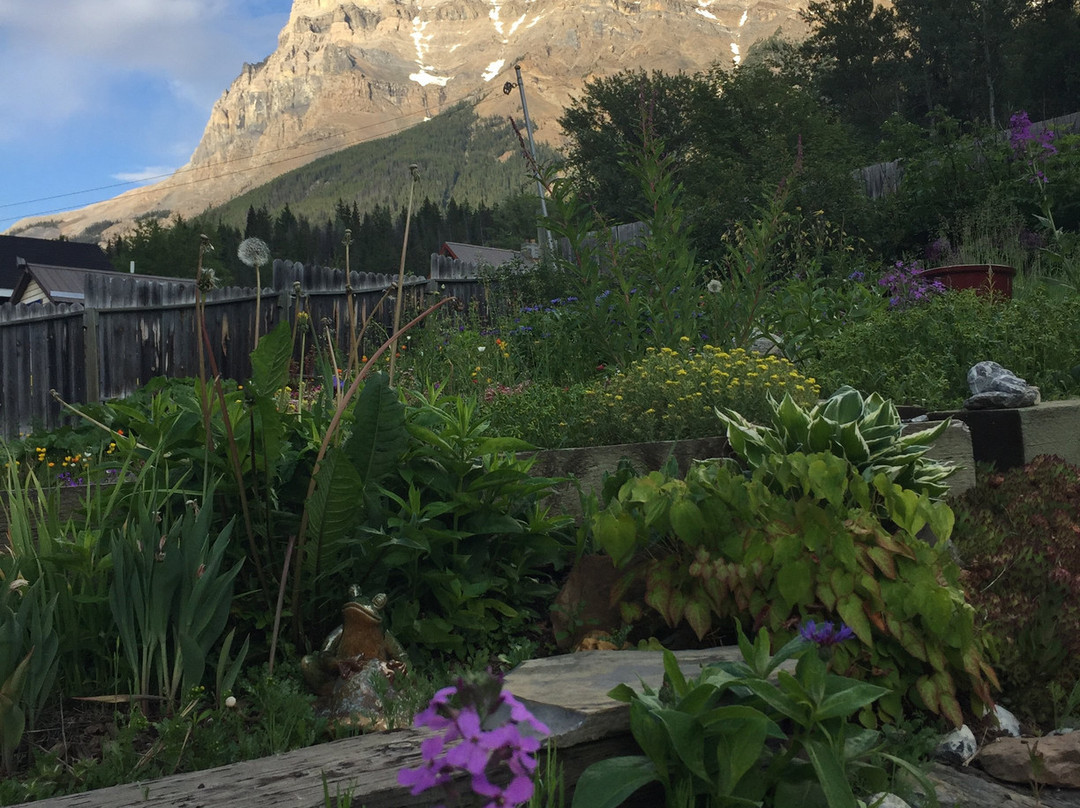 Mt Burgess Guesthouse主图