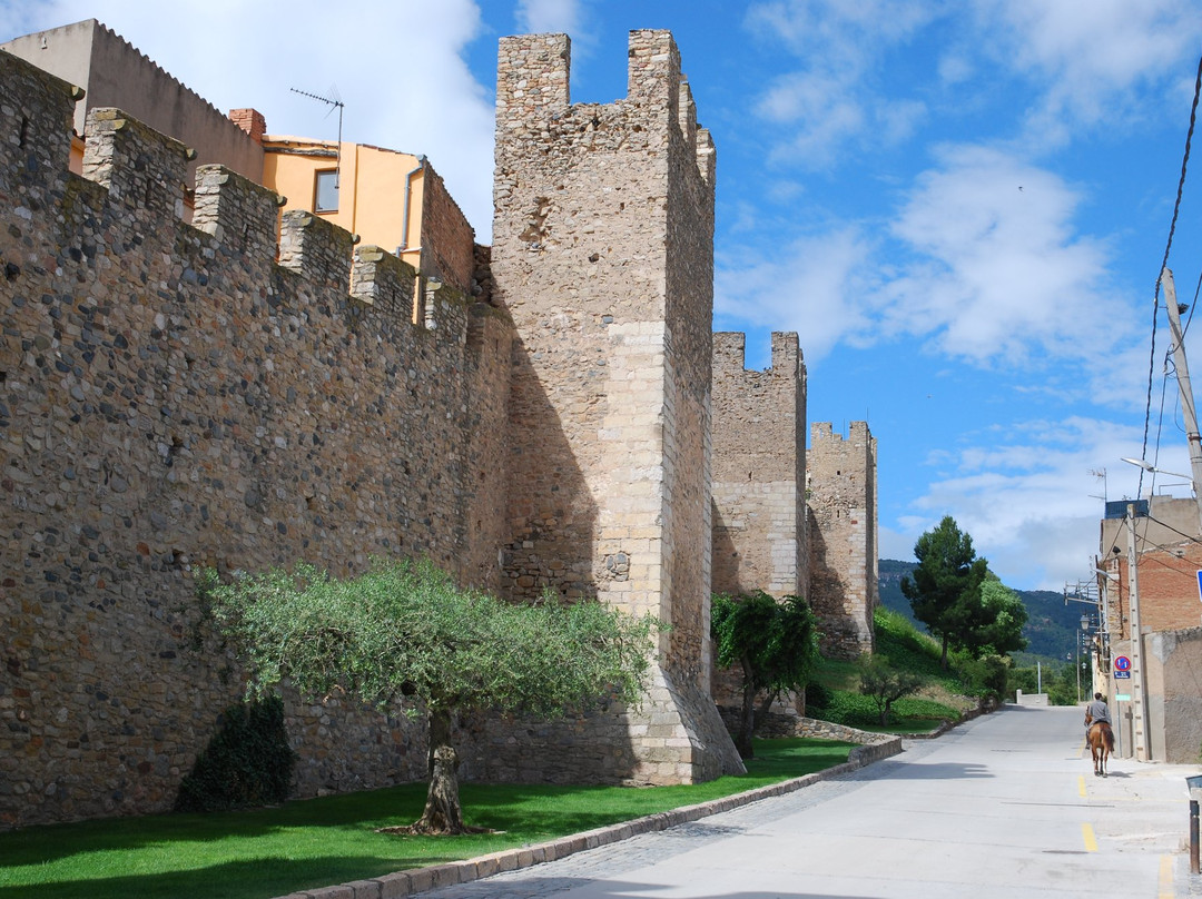 Muralla de Montblanch景点图片