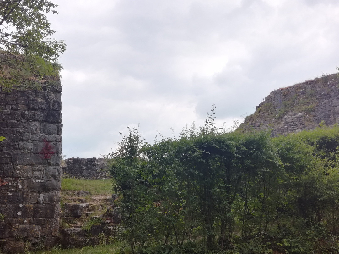 Ruines de Crevecoeur景点图片