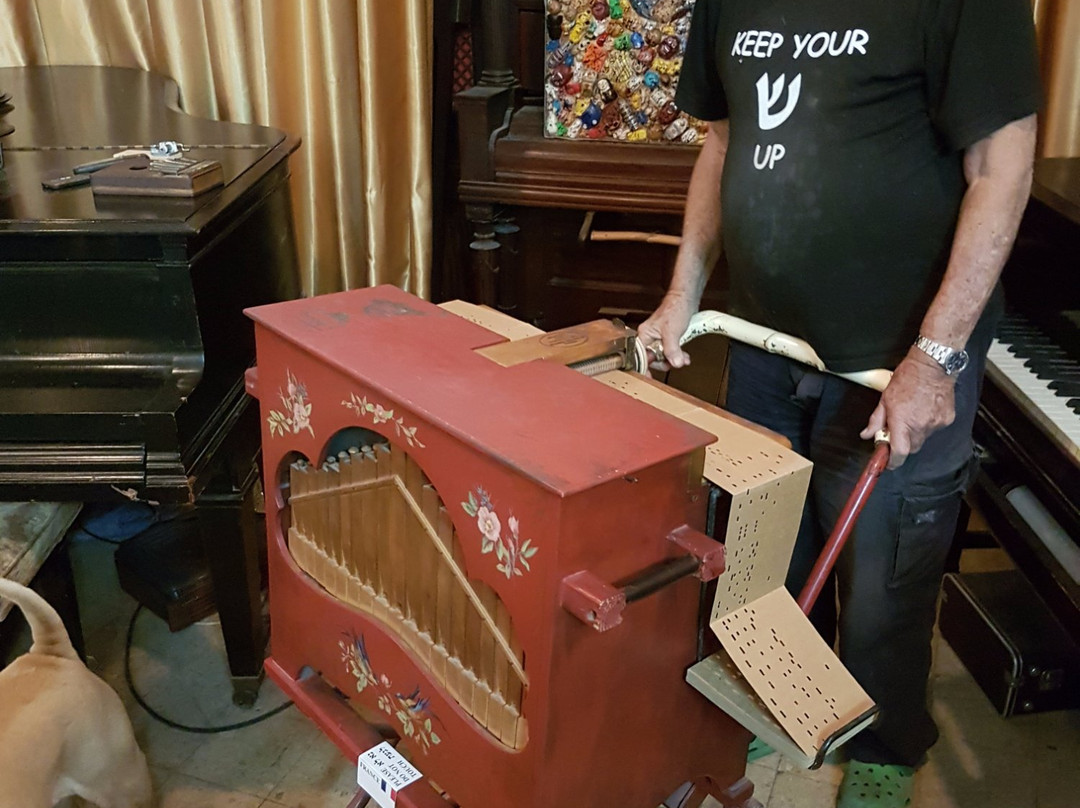 The Nisco Museum of Mechanical Music-Ein Hod必去景点