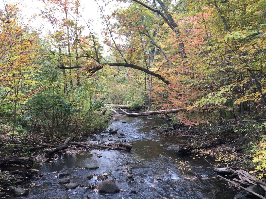 Seidman Park-Ada必去景点