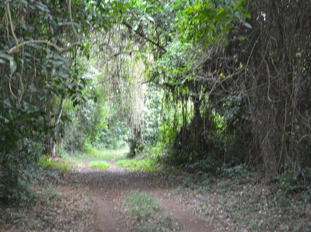 Assagny National Park景点图片