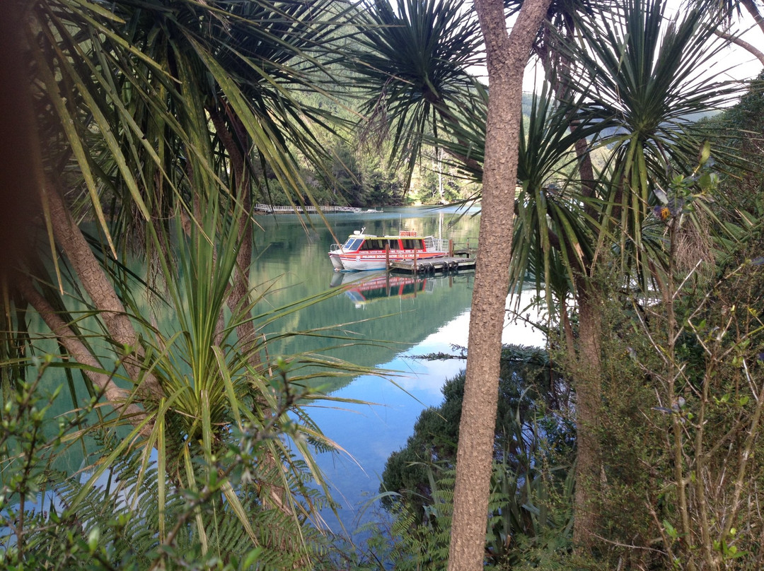 Pelorus Sound Water Taxi & Cruises景点图片