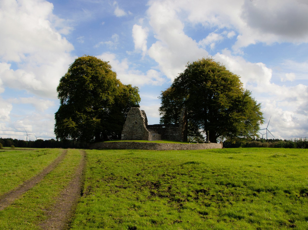 Monaincha Abbey-Roscrea必去景点