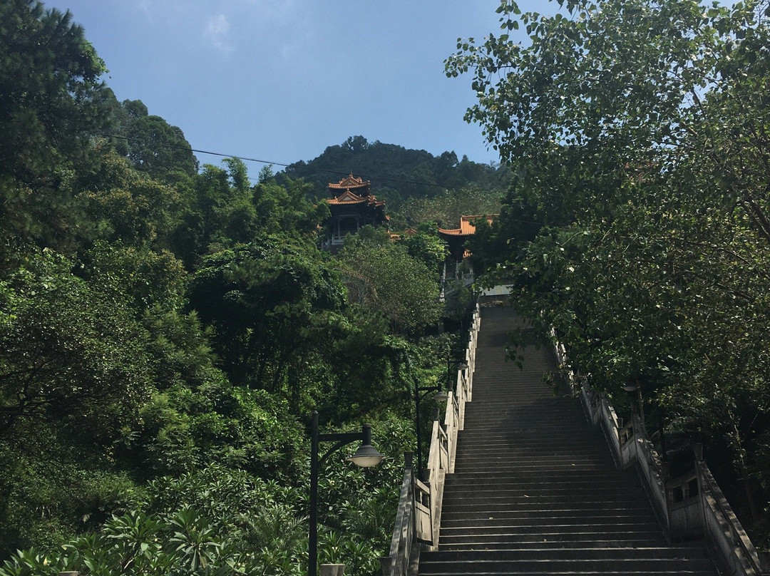 大雁山景点图片