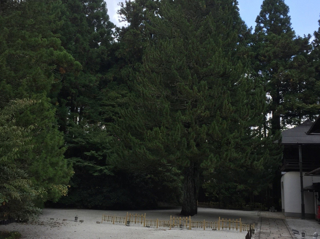 Saimon-in Temple-高野町必去景点