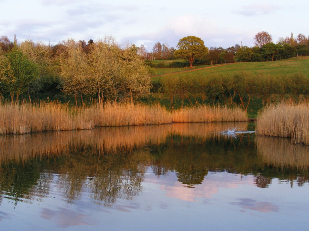 Picks Cottage Fishery Ltd-伦敦必去景点