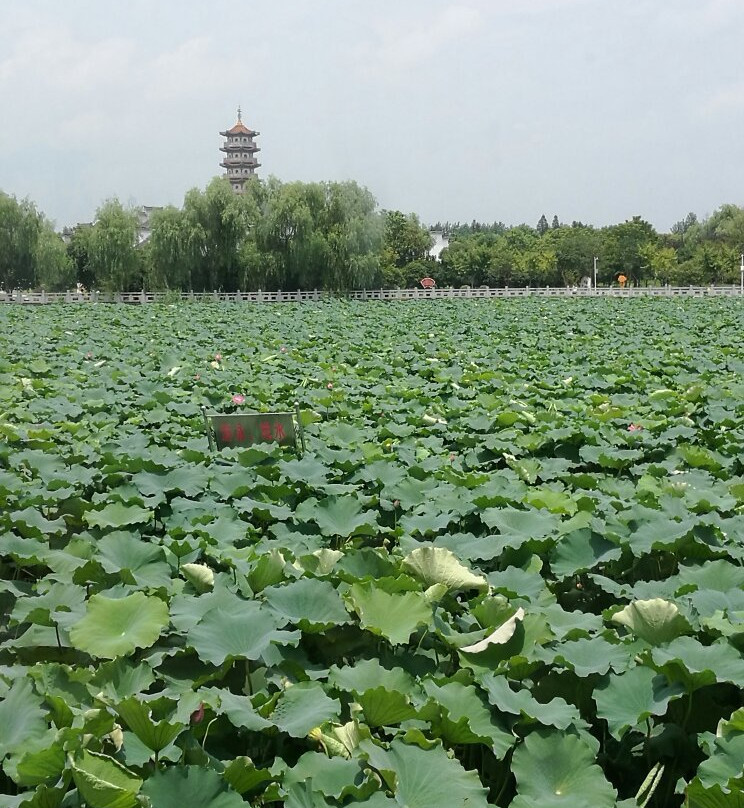 曹禺公园-潜江市必去景点