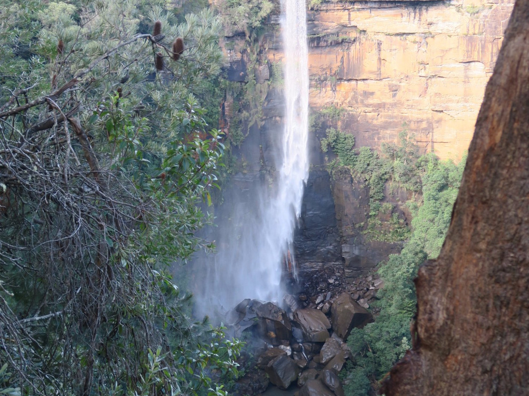 Twin Falls Lookout-Fitzroy Falls必去景点