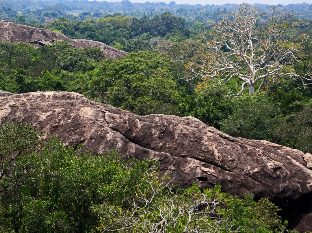 Thanthirimale-马纳尔必去景点
