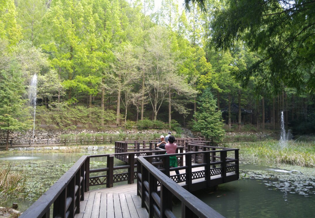 大田旅游景点-Jangtaesan Natural Forest