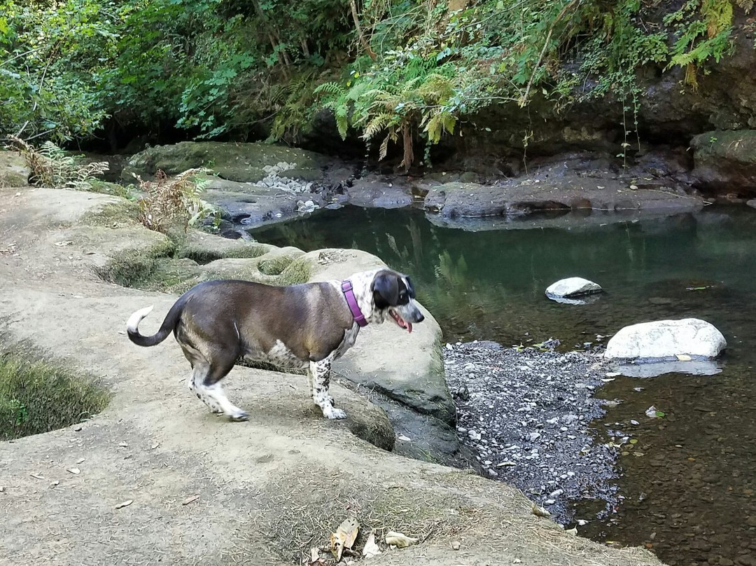 Lacamas Lake-Camas必去景点