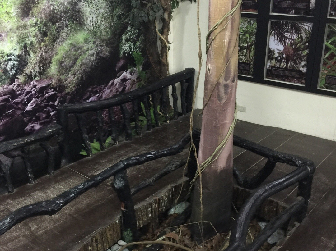 UPLB Museum of Natural History-Los Banos必去景点