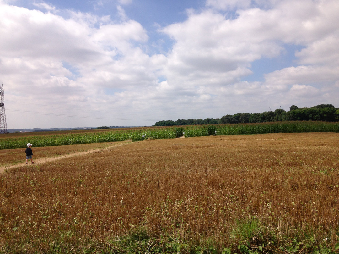 Le Labymais de la Brie-Saint Barthelemy d'Agenais必去景点