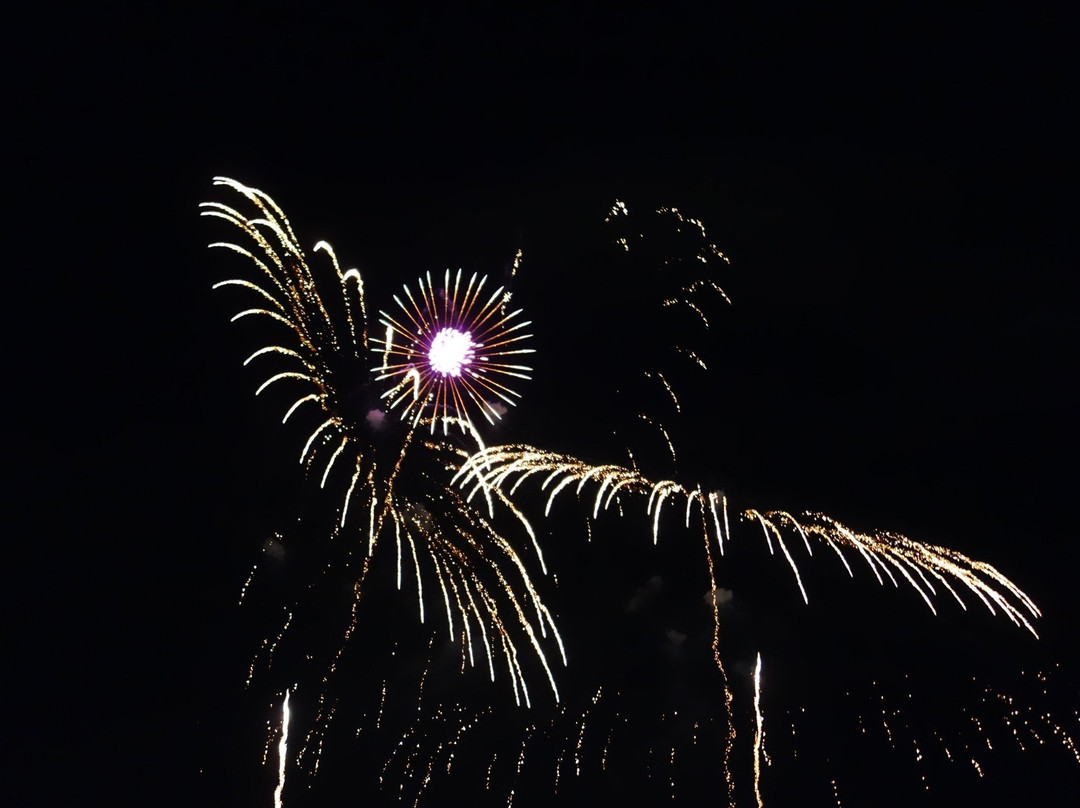 Koga Fireworks-古河市必去景点